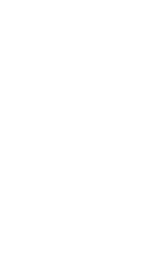 נודלס מרקט